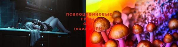 соль курить ск Лагань