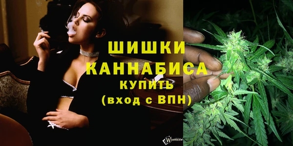 спиды Ладушкин