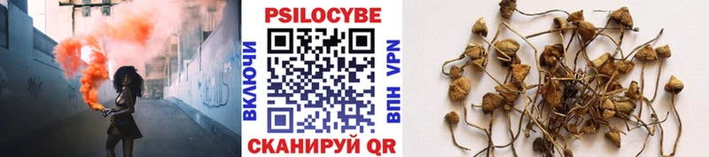 Галлюциногенные грибы Psilocybine cubensis  площадка официальный сайт  Перевоз 